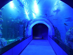 Undersea Tunnel