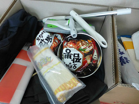 Noodles, Bowl, and Detachable Swiffer Mop