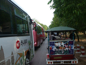 Parade of Buses and Tuk Tuks