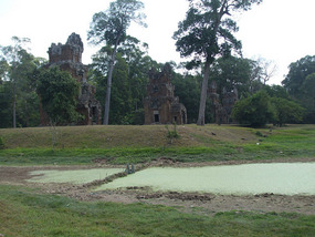 Remains Scattered in Park