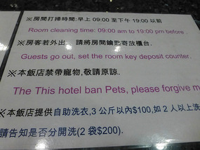 "The This Hotel"