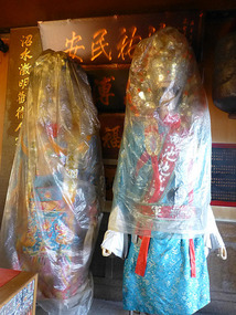 Covered Figures