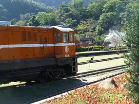 Exhibit Trains