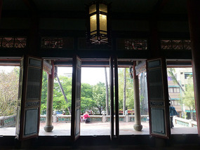 View Thru Shutters