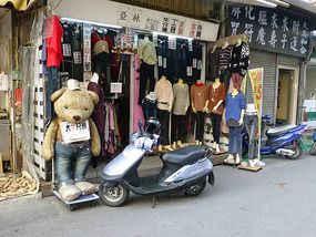 Giant Teddy