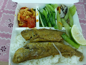 Fish Lunch