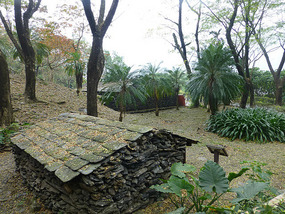 Traditional Homes