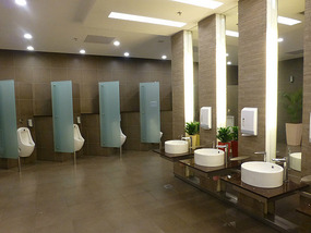 Singapore Airport Washrooms