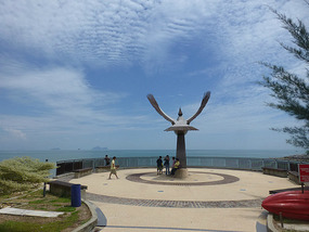 Eagle Overlooking Coast