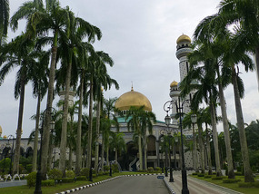 Entrance Roadway