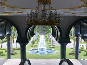 Looking Out on Gardens