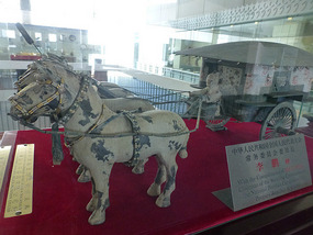 Terra Cotta Gift from China