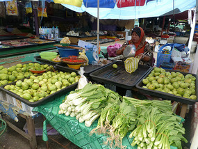 Fresh Produce