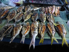 Grilled Fish