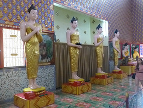 Standing Buddhas