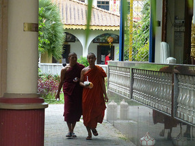 Walking Monks