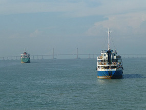 Busy Crossing