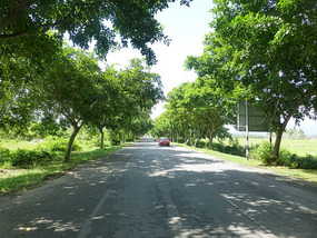 Country Roads