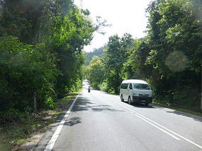 Island Road