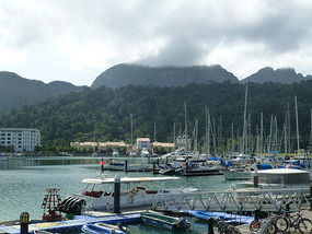 Marina Area
