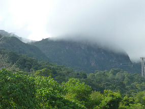 Misty Cable Car Peak