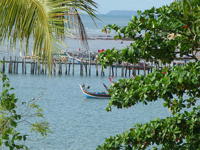 Traditional Boats