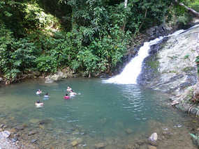 Base of Waterfall