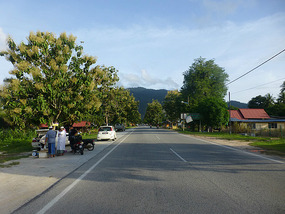 Local Roads