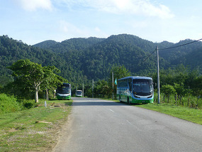 Passing Parked Tour Buses