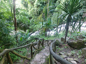 Staircase Down