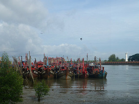 Fishing Boats