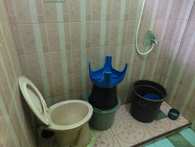 Self Flush System