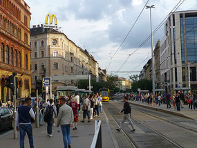 Busy Downtown
