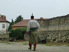 Costume Person