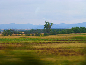 Passing Countryside