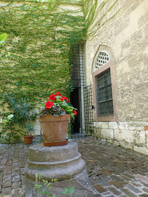 Mosque Gardens