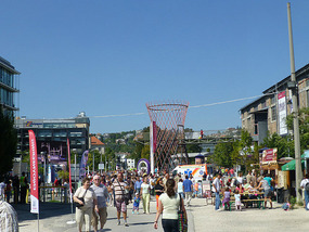 Saturday Outdoor Fair