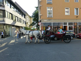 Horse & Carriage