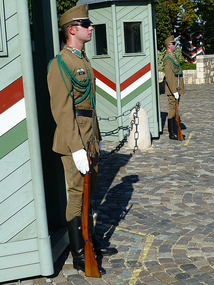Presidential Guards