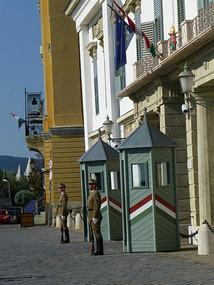 Sentry Guards