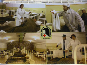Hospital Wards