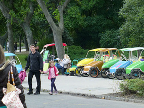Buggie Rentals
