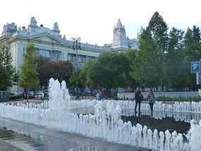 Water Garden