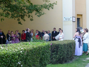 Wedding Party