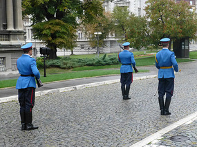 Marching Guards