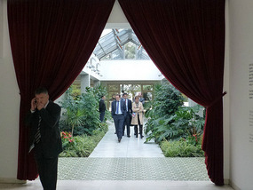 Entrance Drapes