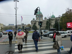 Rainy Crossing