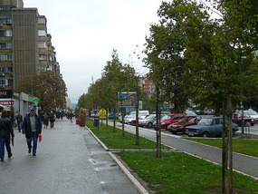 Wide Pedestrian Blvd