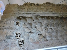 Missing Skull Recesses