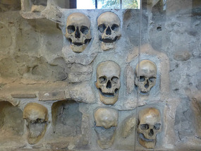Missing Skulls